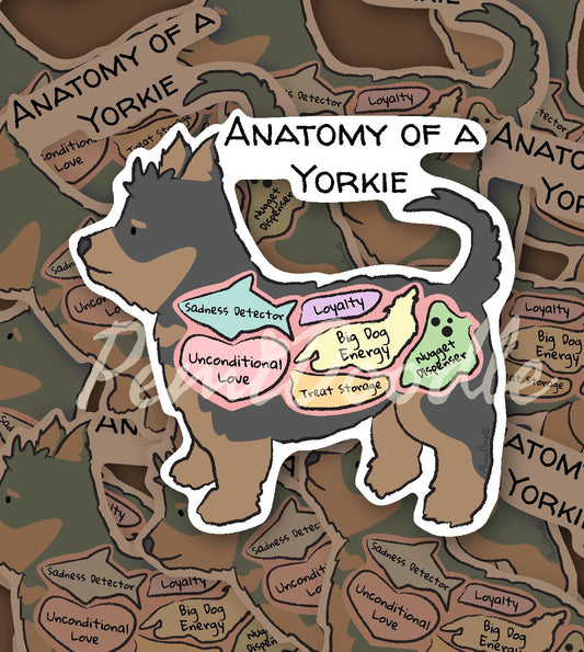 Anatomy of a Yorkie
