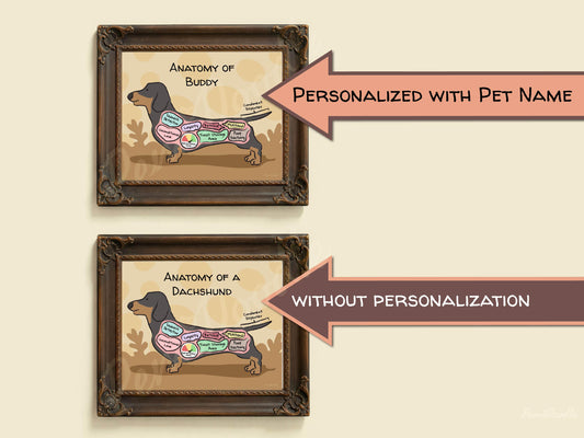 Two framed anatomical diagrams of a dachshund dog with and without pet name personalization on a beige background