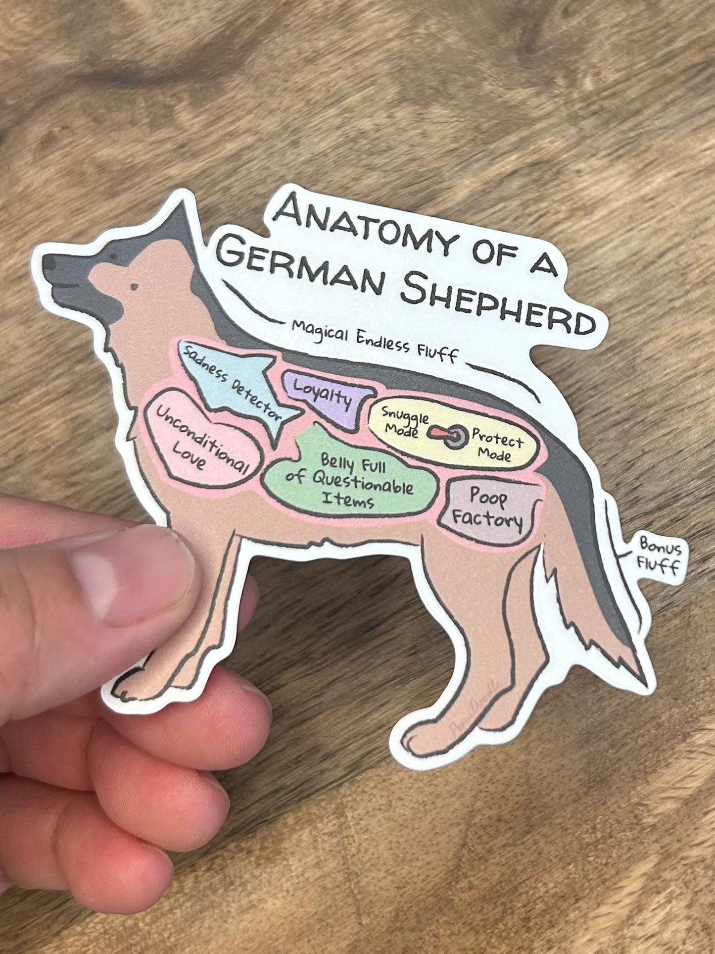 anatomy of a german shepherd sticker