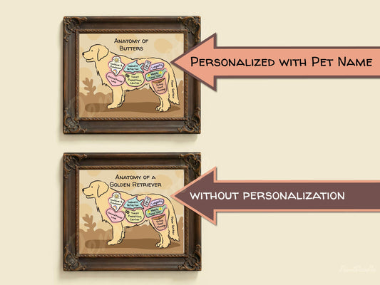 Two framed anatomical diagrams of a golden retriever dog with and without pet name personalization on a beige background