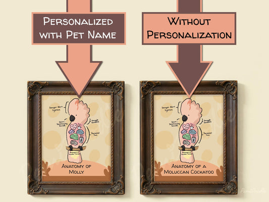 Two framed anatomical diagrams of a moluccan cockatoo with and without pet name personalization on a beige background