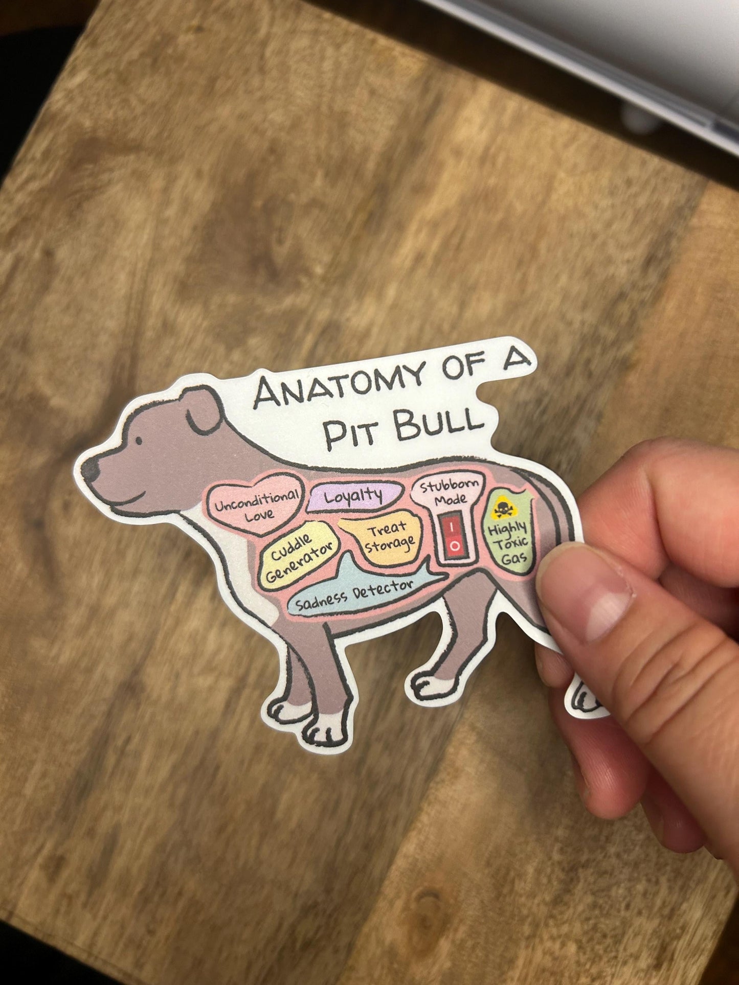hand holding anatomy of a pit bull sticker