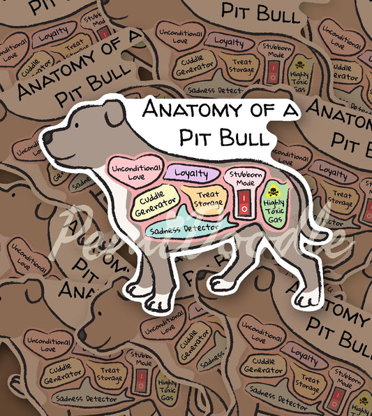 anatomy of a pit bull sticker