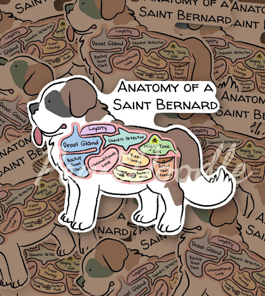 anatomy of a saint bernard sticker
