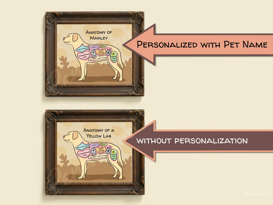 Two framed anatomical diagrams of a yellow labrador dog with and without pet name personalization on a beige background