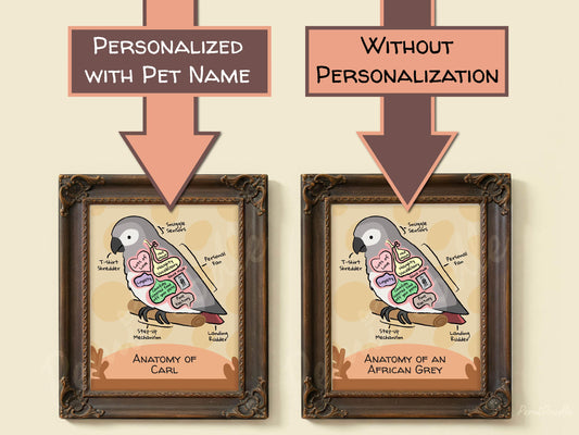 Two framed anatomical diagrams of a african grey parrot with and without pet name personalization on a beige background