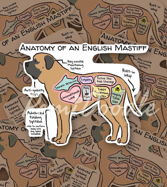 anatomy of an english mastiff sticker