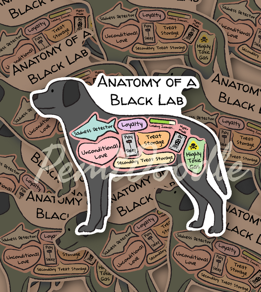 Anatomy of a black lab mockup