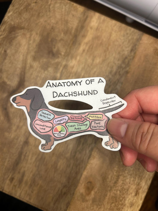 Anatomy of a Dachshund Sticker