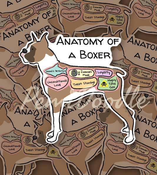 Anatomy of a Boxer Sticker