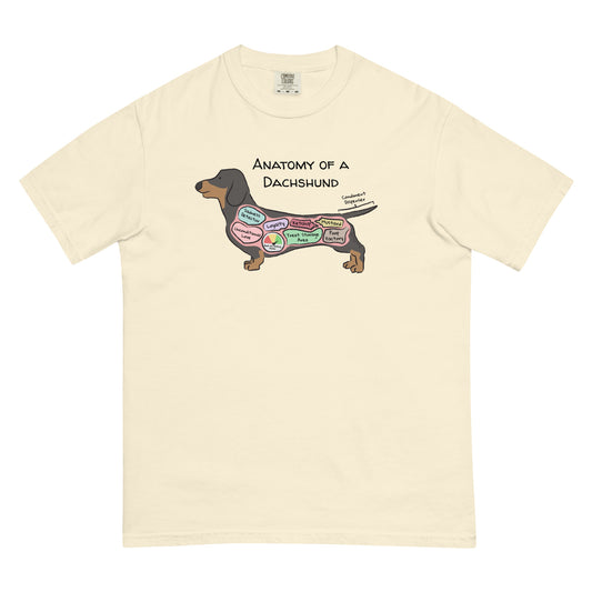 Anatomy of a Dachshund illustration on an ivory colored T-Shirt