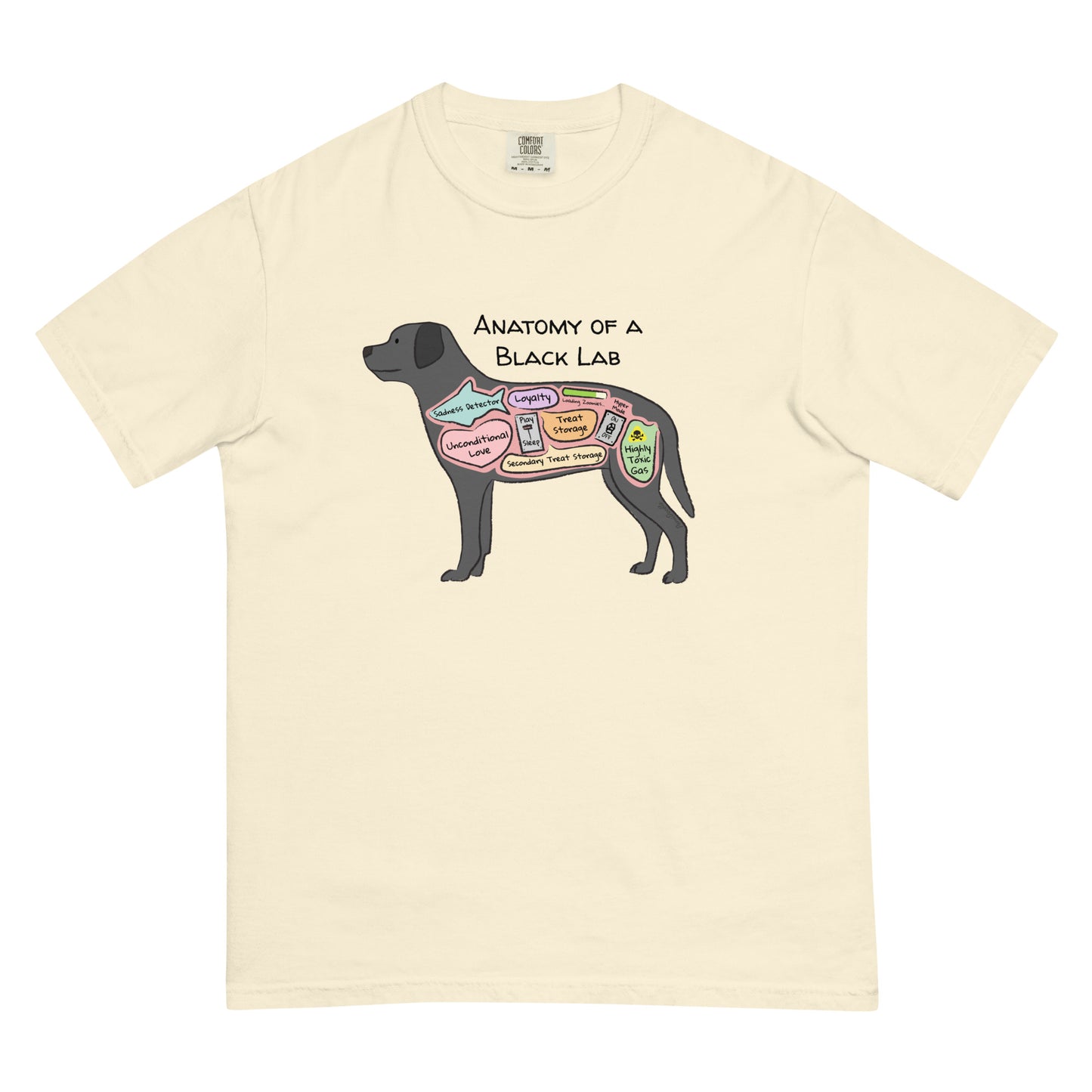 Anatomy of a black lab illustration on an ivory colored t-shirt