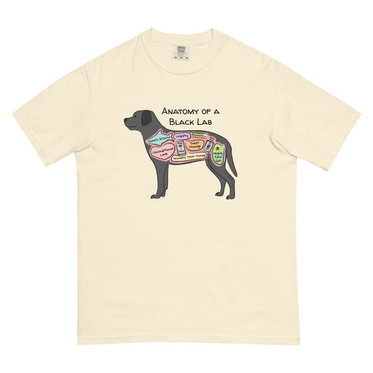 Anatomy of a black lab illustration on an ivory colored t-shirt