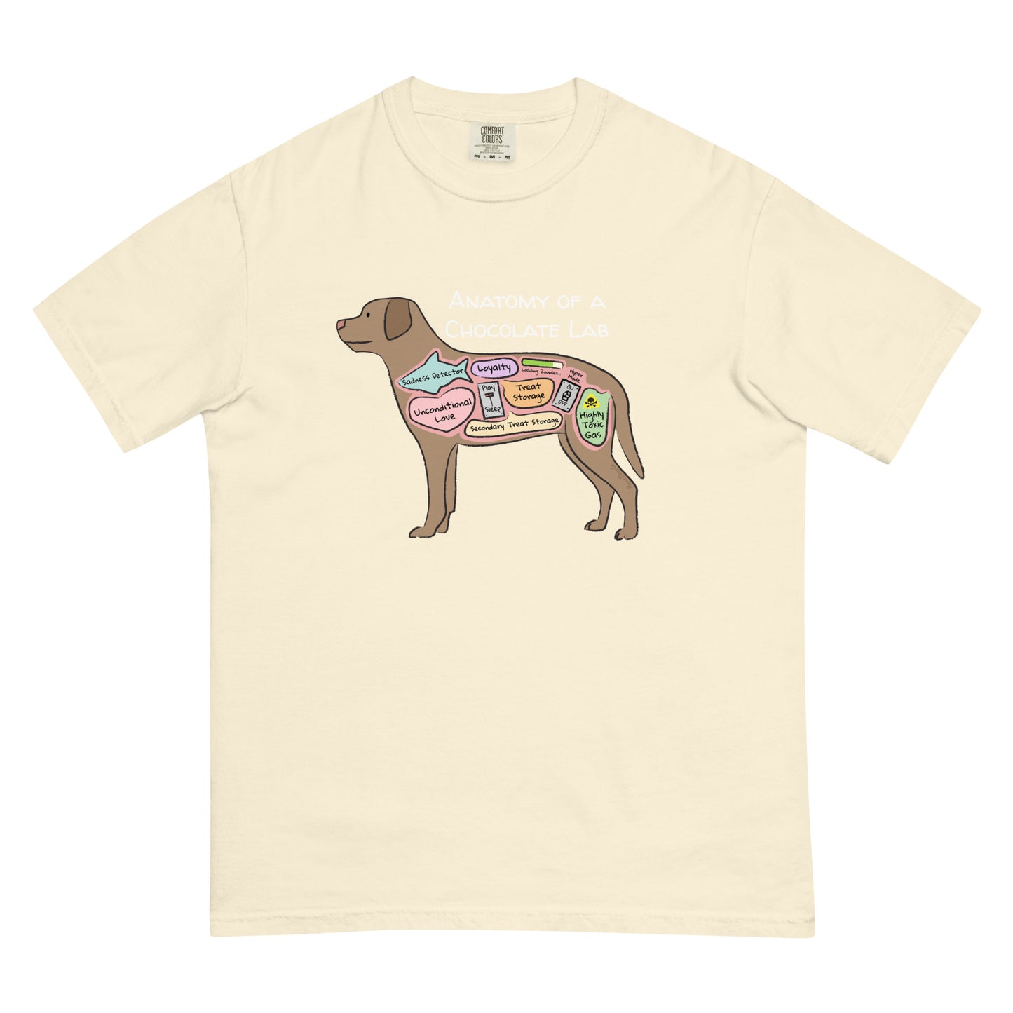 Anatomy of a chocolate lab illustration on an ivory colored t-shirt