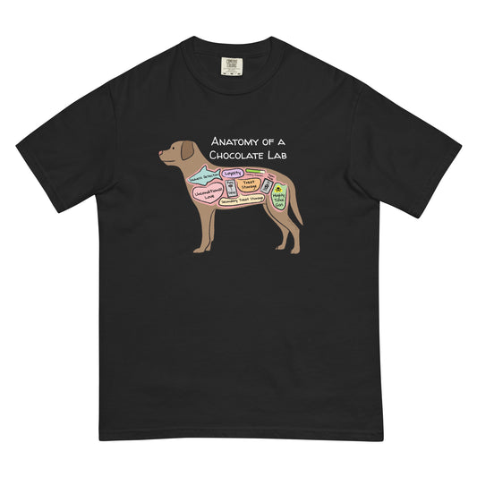 Anatomy of a chocolate lab illustration on a black t-shirt