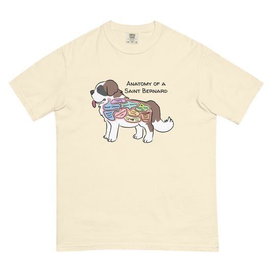 Anatomy of a saint bernard illustration on an ivory colored T-Shirt