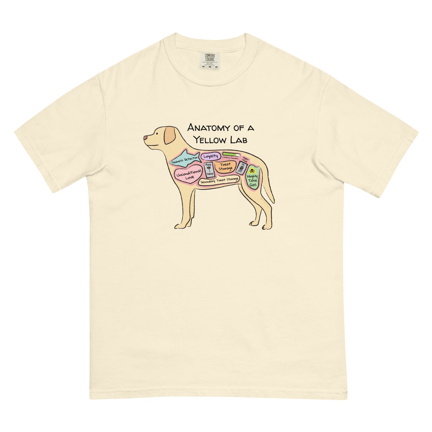 Anatomy of a yellow lab illustration on an ivory colored t-shirt