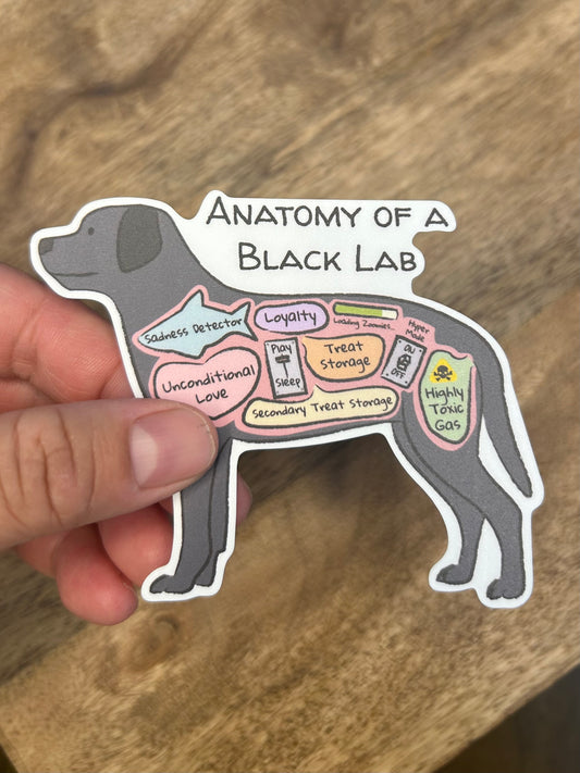 Anatomy of a Black Lab dog sticker