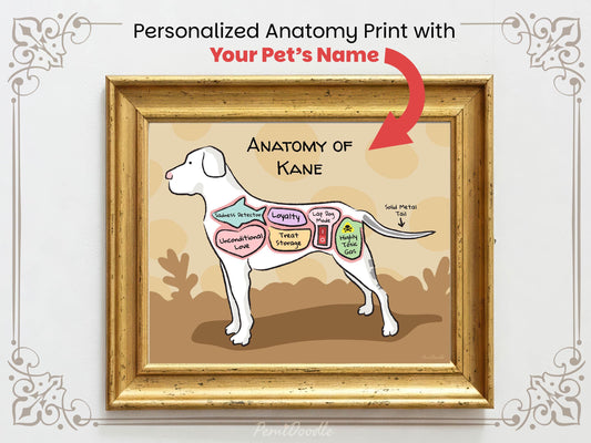 Personalized anatomy print of a great dane dog with labeled parts on a beige background