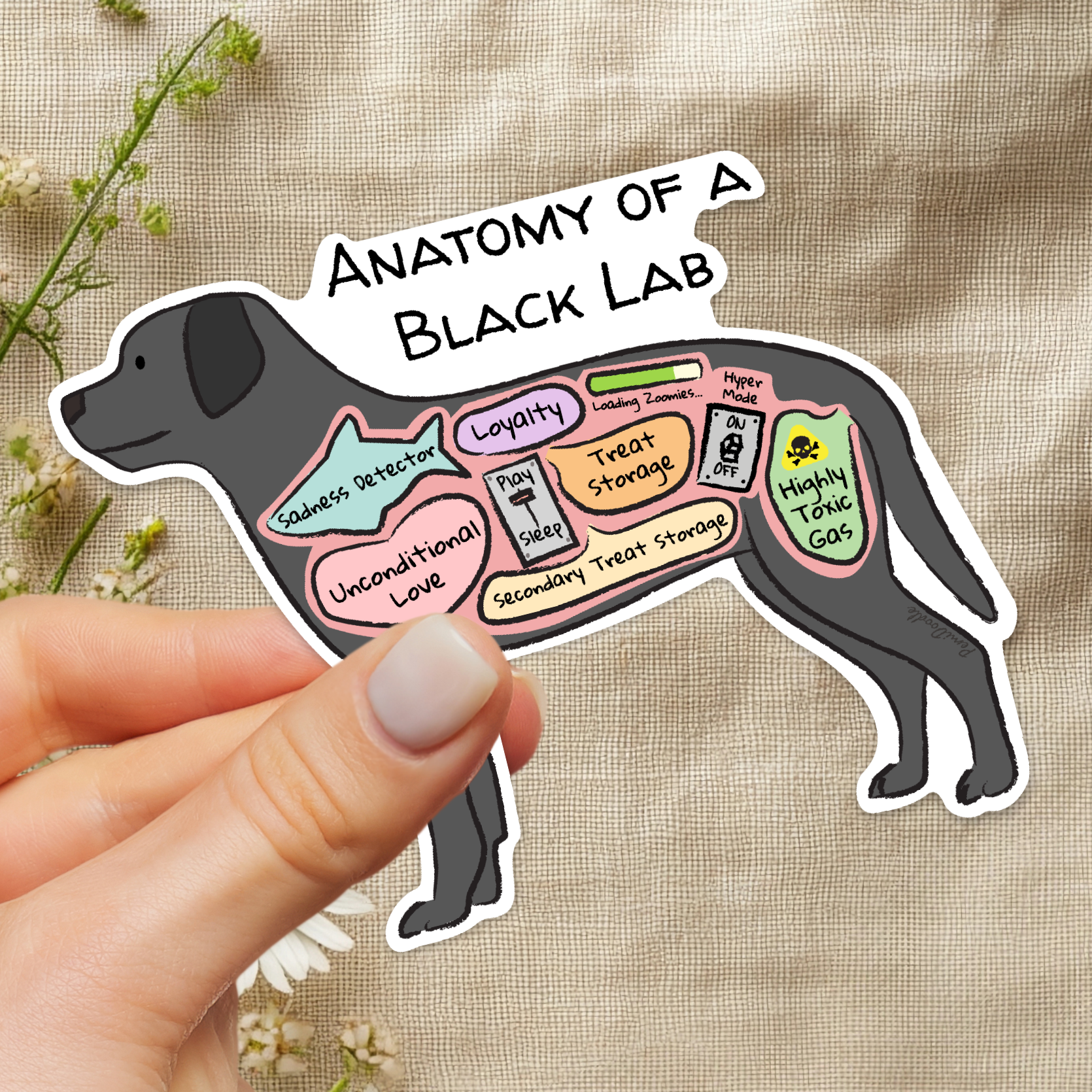 Hand holding Anatomy of a Black Lab on floral background