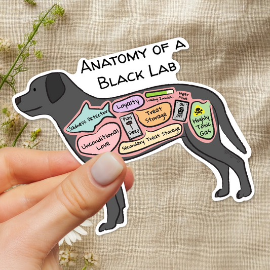 Hand holding Anatomy of a Black Lab on floral background