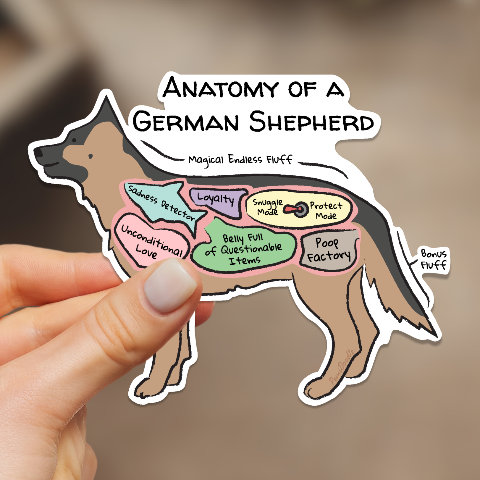 hand holding anatomy of a german shepherd 