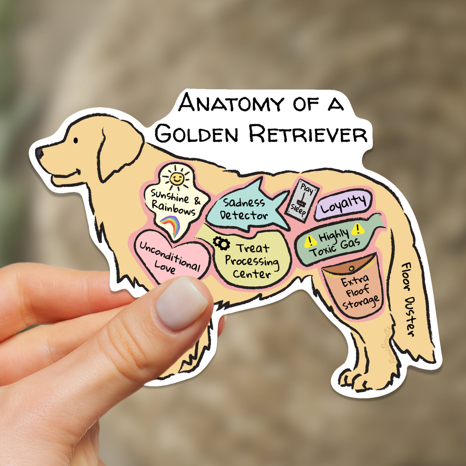 anatomy of a golden retriever sticker