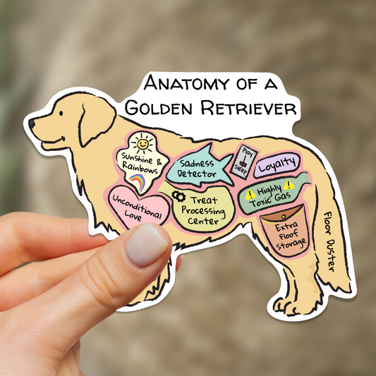 anatomy of a golden retriever sticker