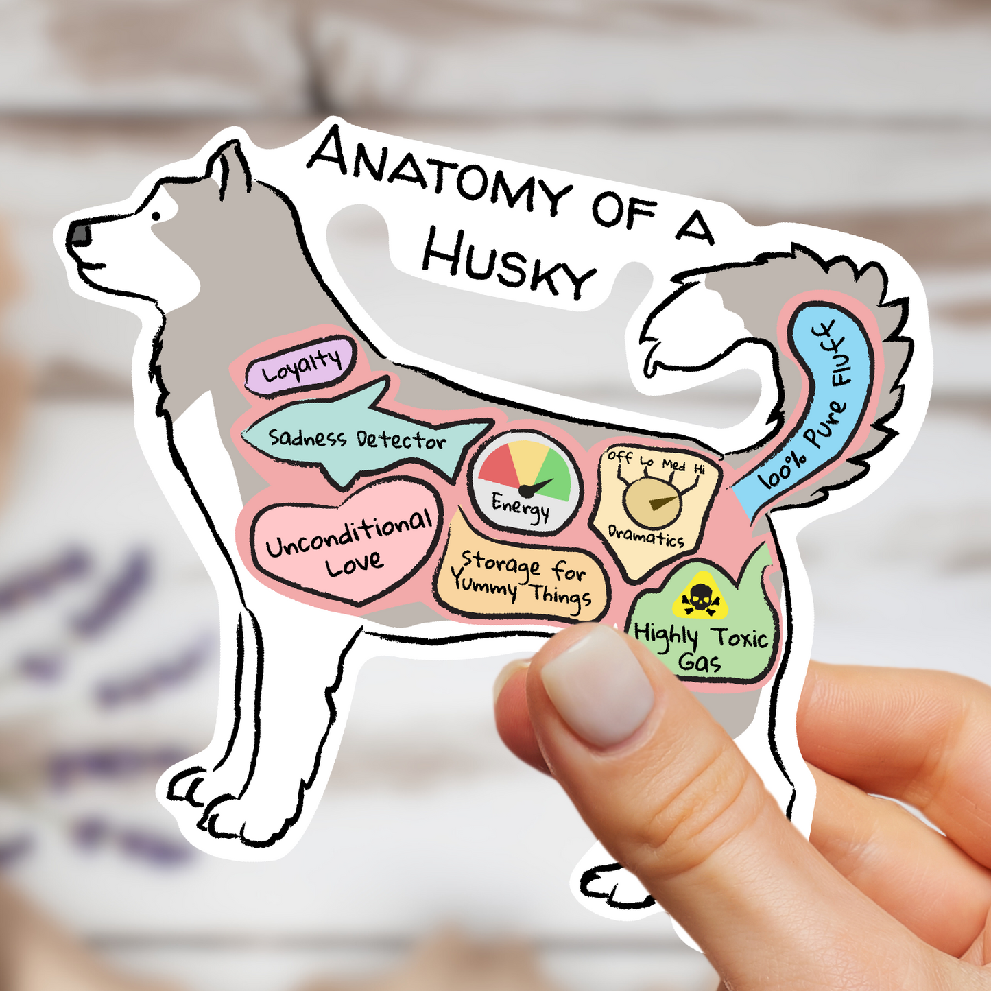 anatomy of a husky sticker