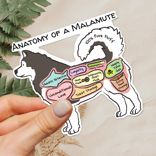 Hand holding Anatomy of a malamute sticker on a fern background