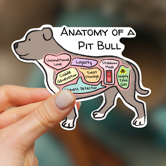 hand holding anatomy of a pit bull sticker