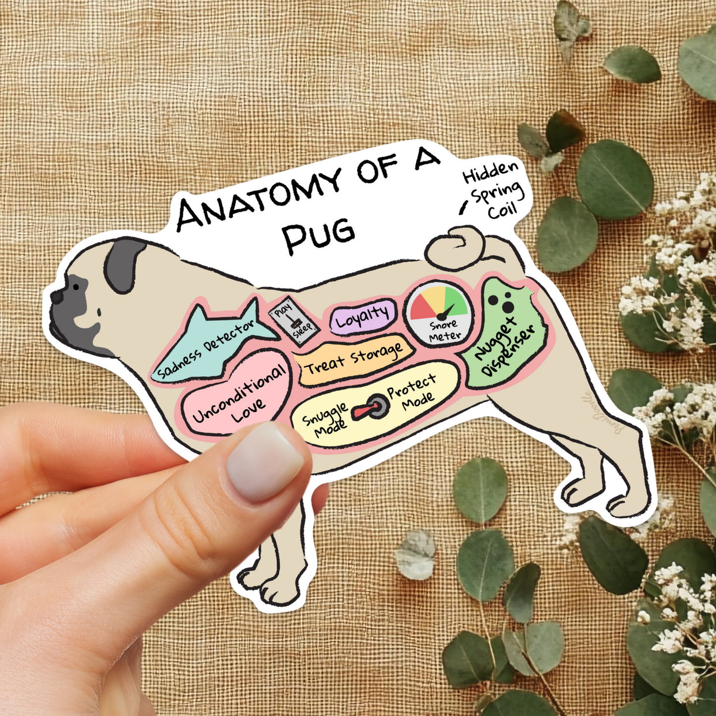 hand holding an anatomy of a poug sticker on a floral background