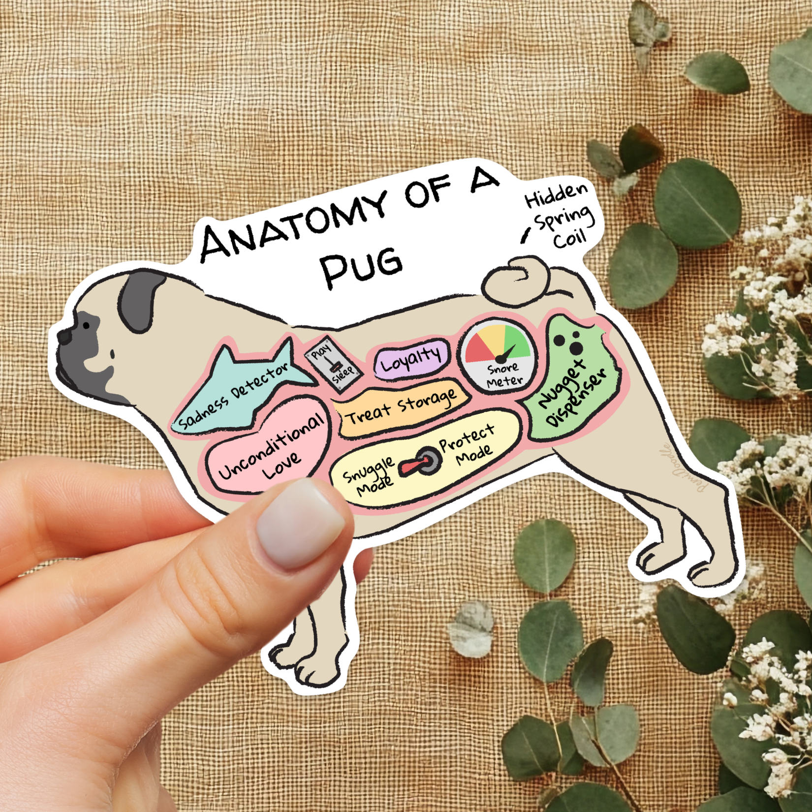 hand holding an anatomy of a poug sticker on a floral background
