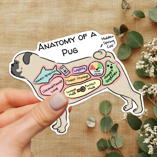 hand holding an anatomy of a poug sticker on a floral background