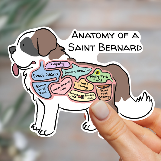 anatomy of a saint bernard sticker