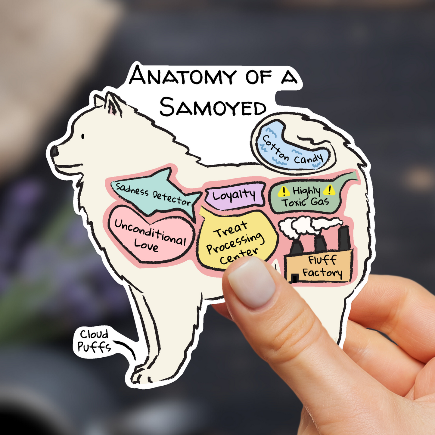 hand holding anatomy of a samoyed sticker