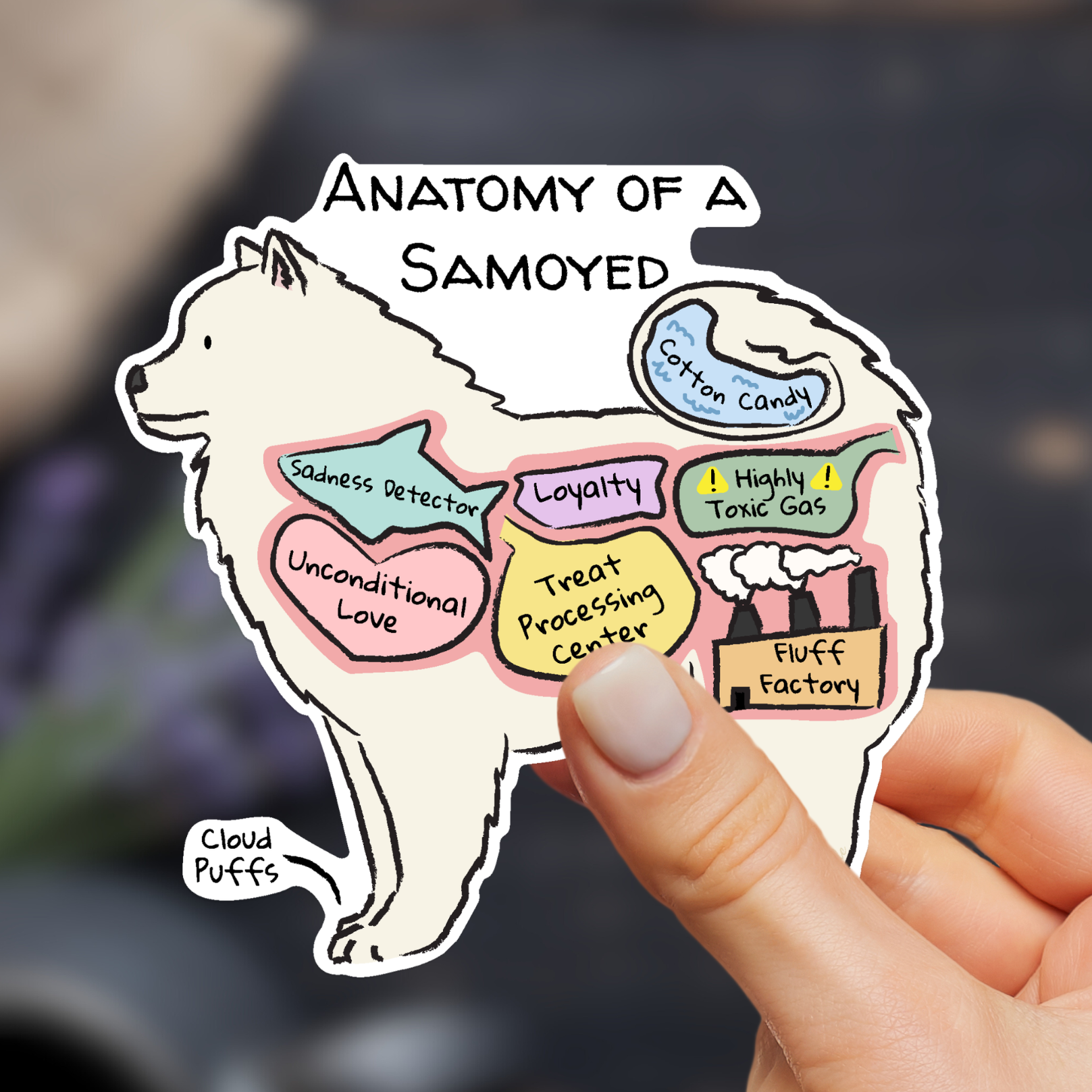 hand holding anatomy of a samoyed sticker