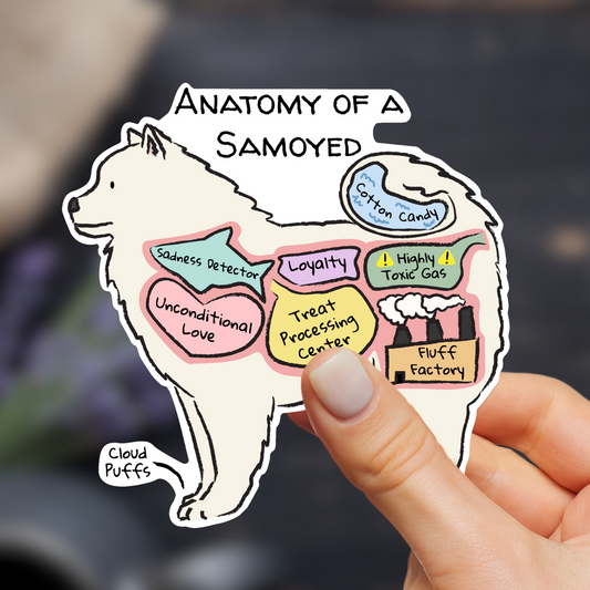 hand holding anatomy of a samoyed sticker