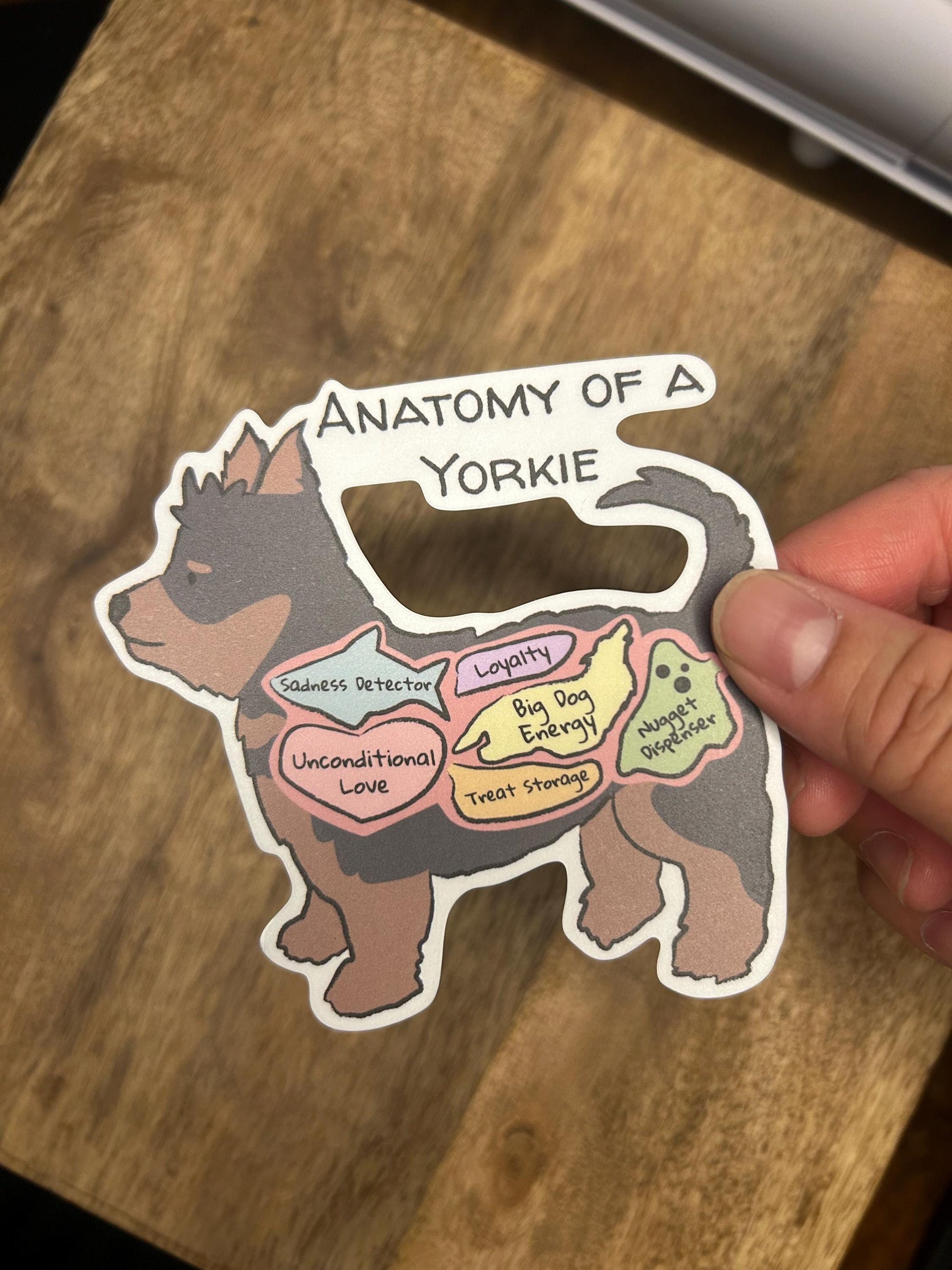 Hand holding anatomoy of a yorkie sticker