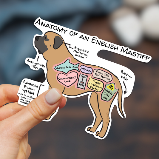hand holding anatomy of an english mastiff sticker
