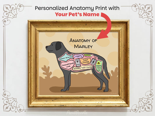 Personalized anatomy print of a black labrador dog with labeled parts on a beige background