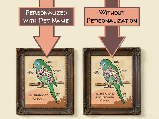 Two framed anatomical diagrams of a blue-crowned conure with and without pet name personalization on a beige background