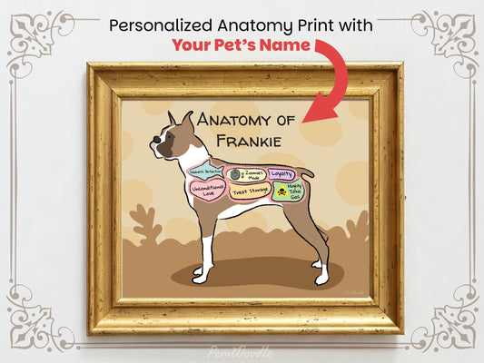 Framed humorous diagram of a boxer dog labeled 'Anatomy of Frankie' 