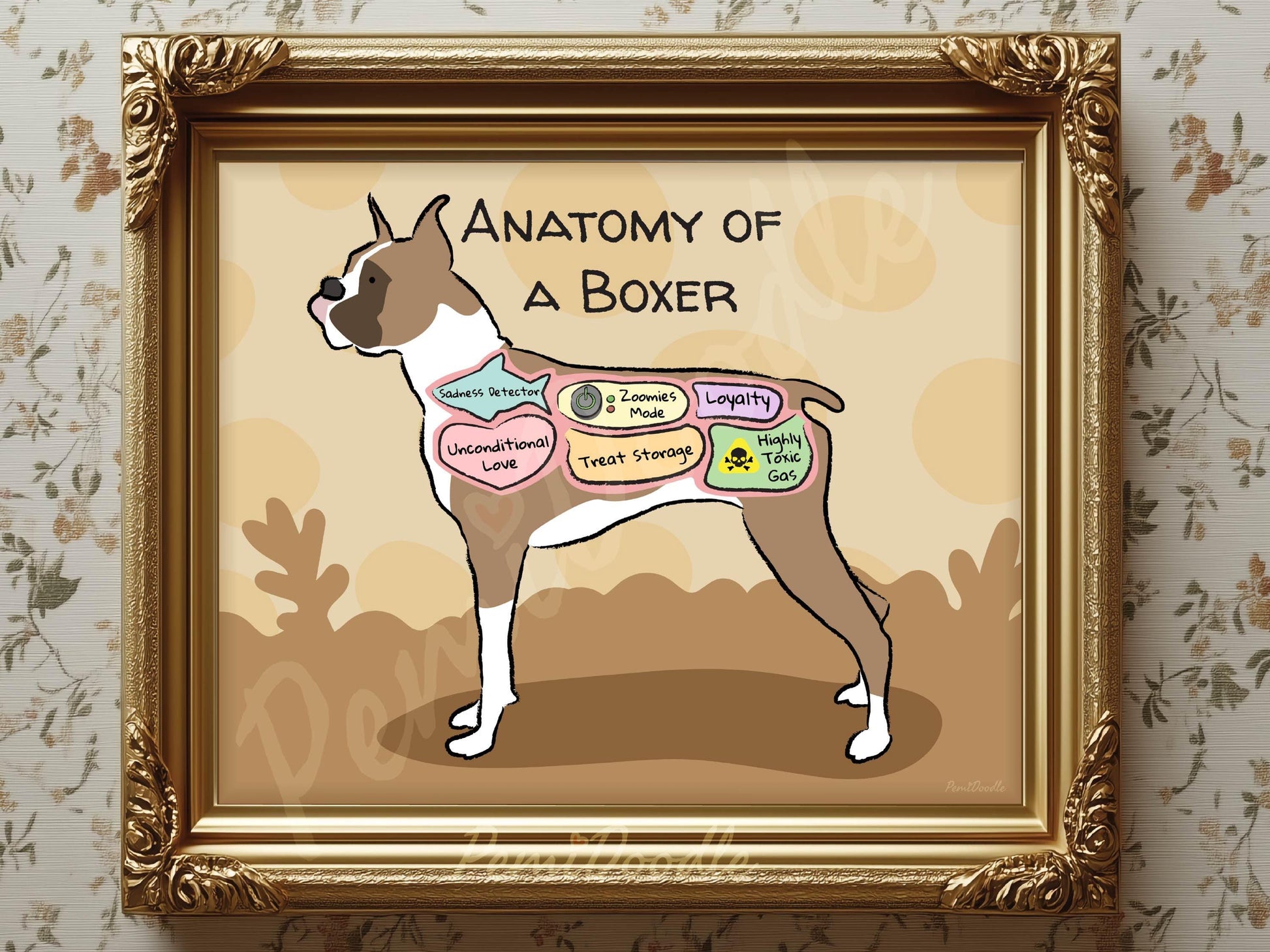 Framed illustration of a boxer dog anatomy titled Anatomy of a Boxer