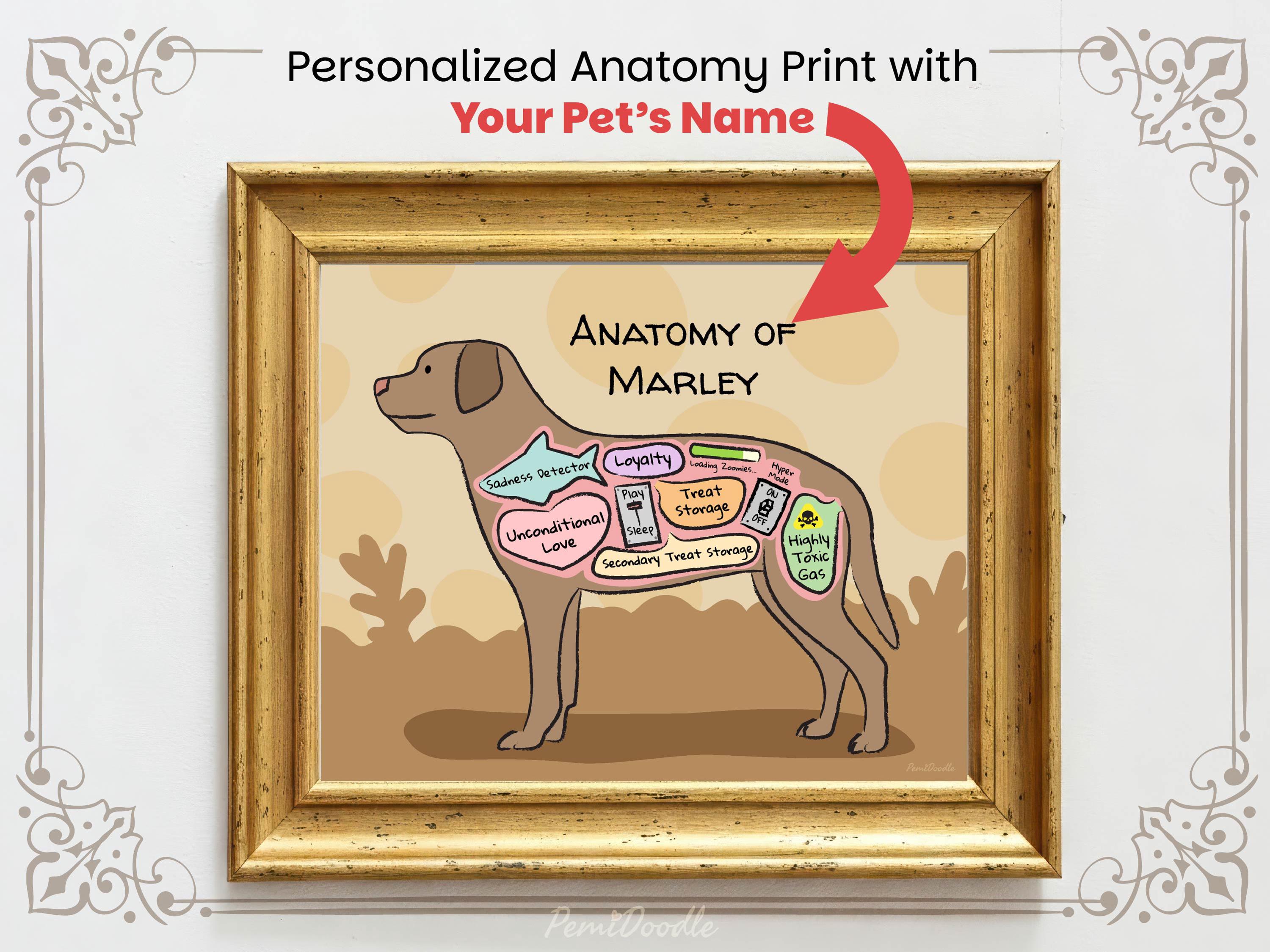 Personalized Anatomy of a Chocolate Lab Unframed Art Print – PemiDoodle