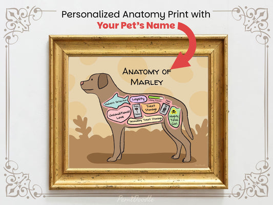 Personalized anatomy print of a chocolate lab dog with labeled parts on a beige background