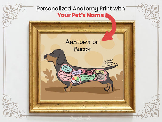 Personalized anatomy print of a dachshund dog with labeled parts on a beige background