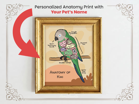 Personalized anatomy print of a dusky conure bird with labeled parts on a beige background