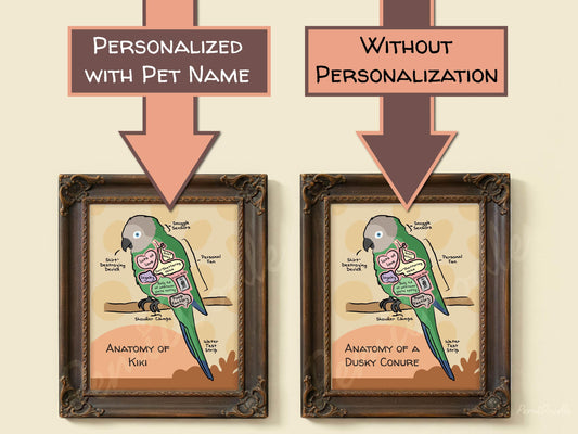 Two framed anatomical diagrams of a dusky conure with and without pet name personalization on a beige background