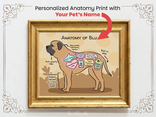 Personalized anatomy print of a english mastiff dog with labeled parts on a beige background